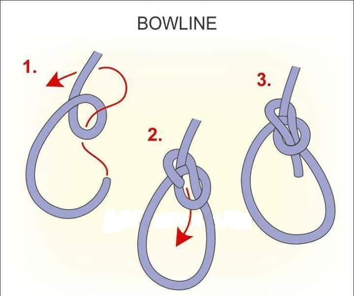 Most Common Sailing Knots