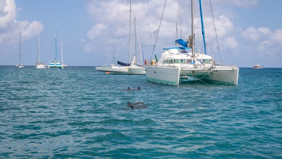 10 Best Catamarans Under 200k