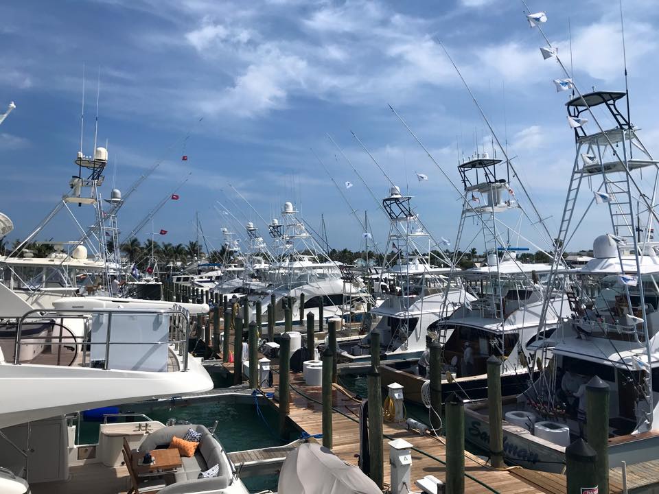 Conch Harbor Marina