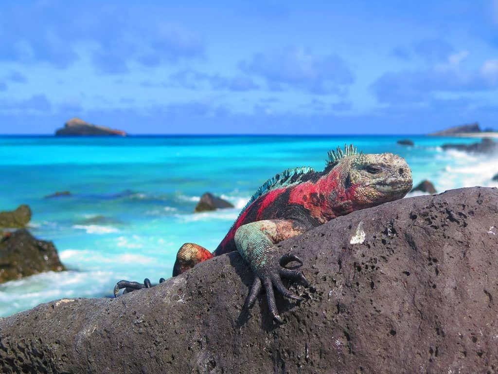 Galapagos Islands Location
