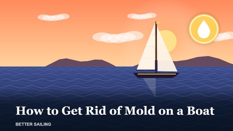 How to Get Rid of Mold on a Boat (and Keep It Away)
